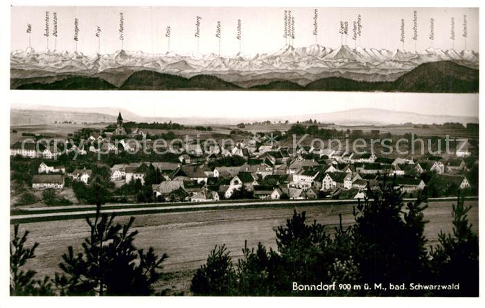 Bonndorf Schwarzwald Panorama Alpenblick