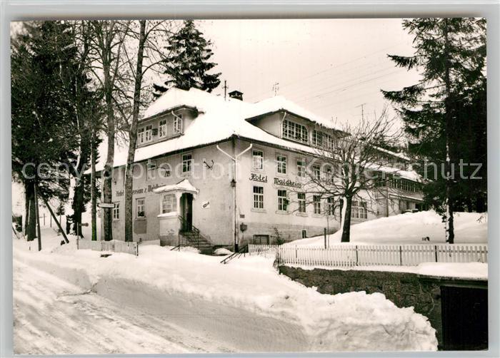Herrischwand Hotel Pension Waldheim