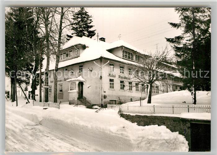 Herrischwand Hotel Pension Waldheim