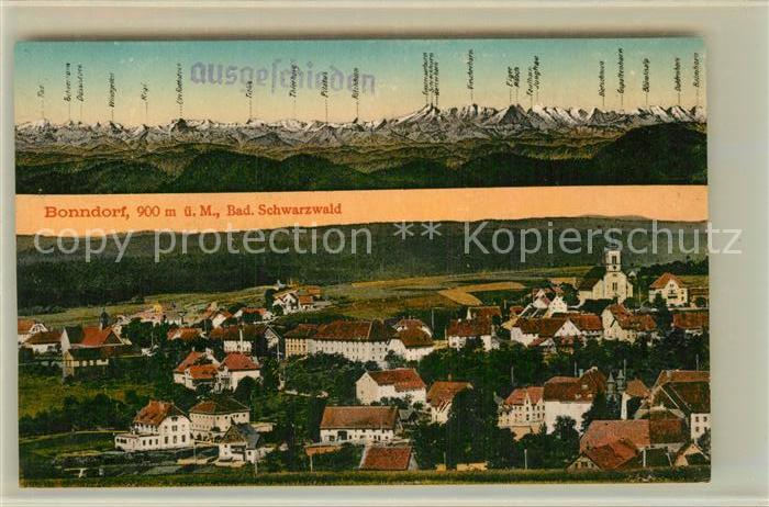 Bonndorf Schwarzwald Panorama Alpen