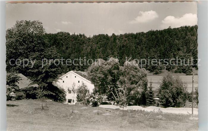 Suffersheim in Bayern Hammerwiese
