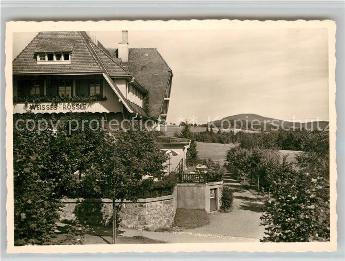 Hinterzarten Breisgau-Hochschwarzwald BW Hotel Weisses Roessle