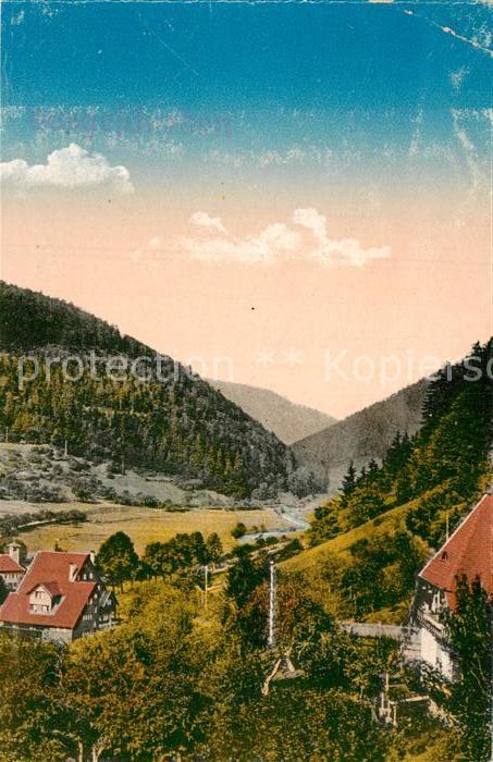 Bad Liebenzell Teilansicht