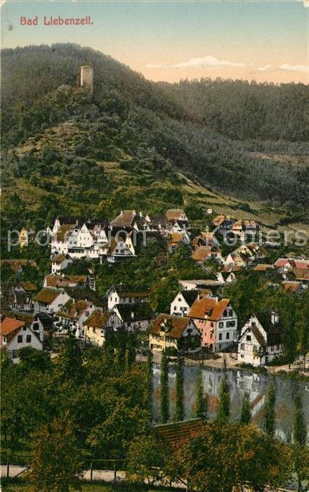 Bad Liebenzell Teilansicht mit Burg