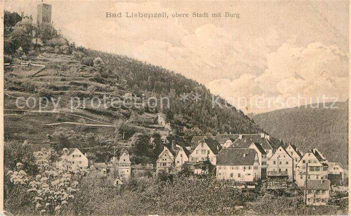 Bad Liebenzell Stadtansicht und Burg