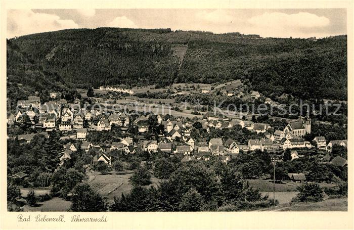 Bad Liebenzell Gesamtansicht