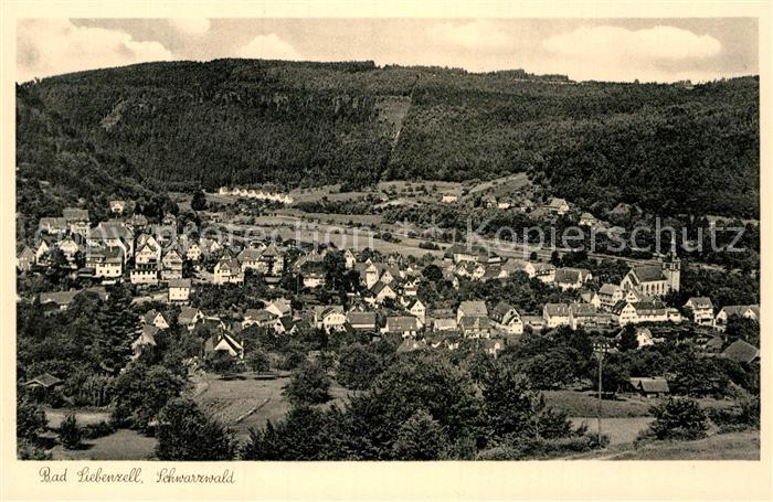 Bad Liebenzell Gesamtansicht