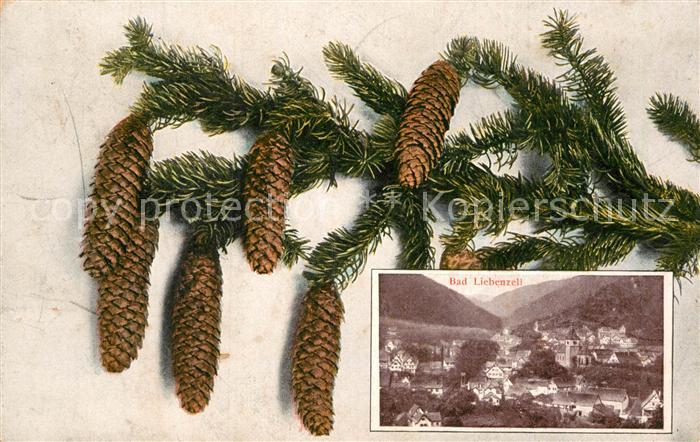 Bad Liebenzell Teilansicht Tannengeaest