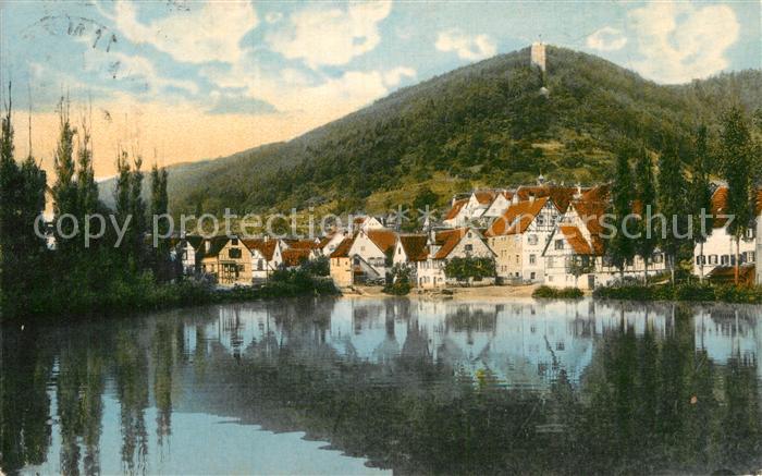 Bad Liebenzell Gesamtansicht