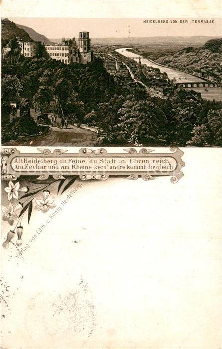 Heidelberg Neckar Blick von der Terrasse