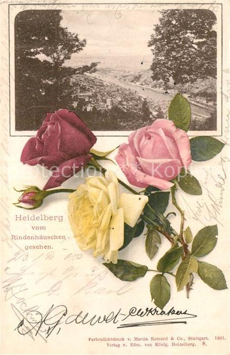 Heidelberg Neckar Blick vom Rindenhaeuschen