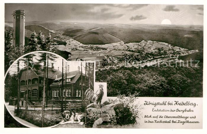 Heidelberg Neckar Koenigstuhl