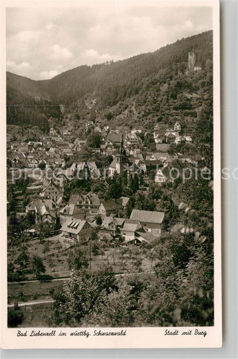 Bad Liebenzell Stadtansicht mit Burg