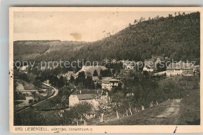 Bad Liebenzell Teilansicht