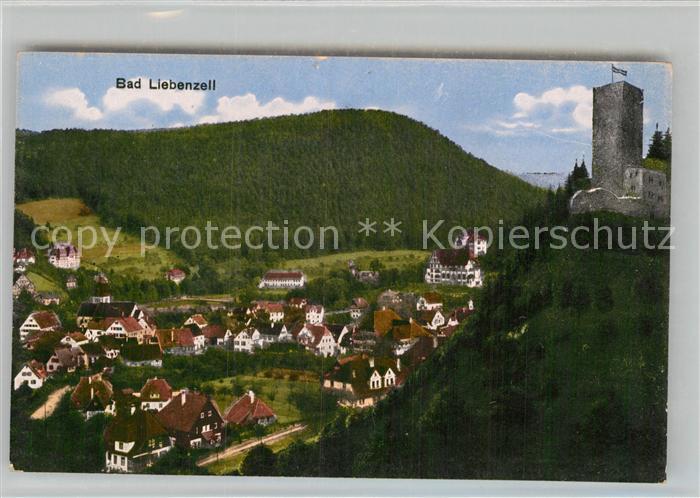 Bad Liebenzell Teilansicht mit Burg