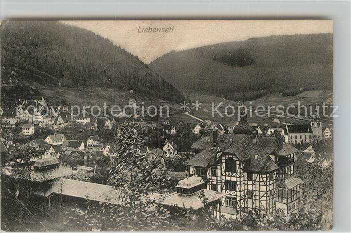 Bad Liebenzell Teilansicht