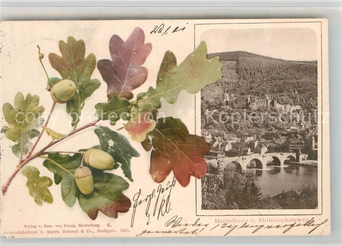 Heidelberg Neckar Philosophenweg