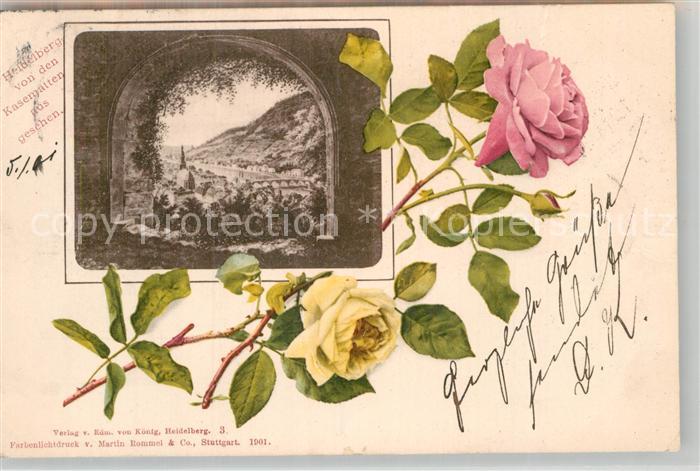 Heidelberg Neckar Teilansicht