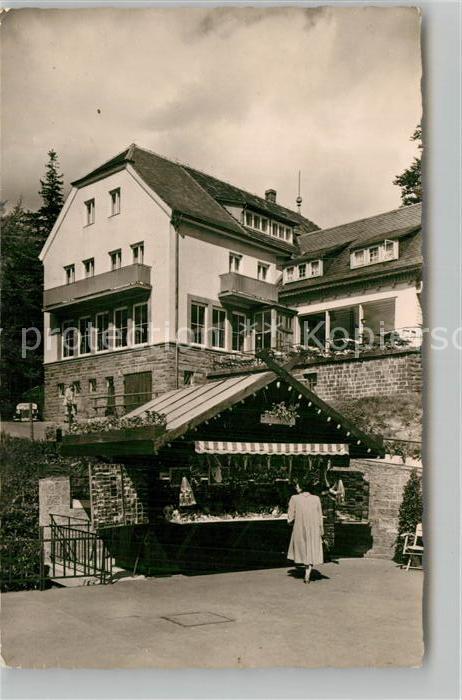 Heidelberg Neckar Koenigstuhl