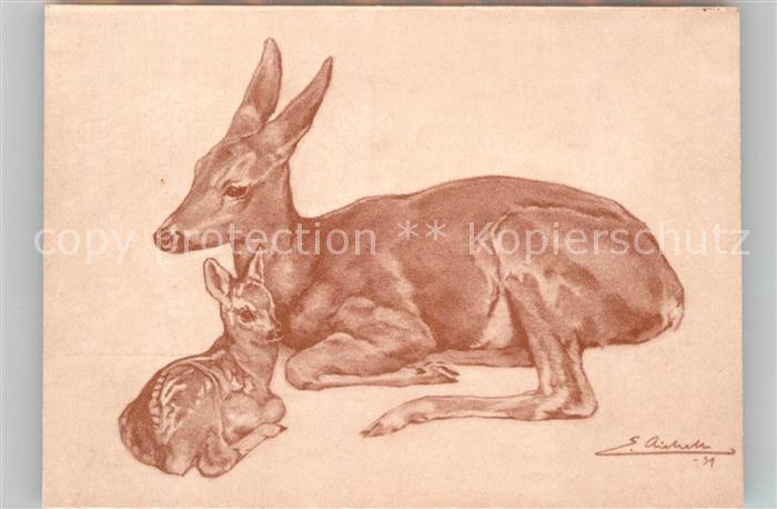 Eutingen Gaeu Reh mit Kitz