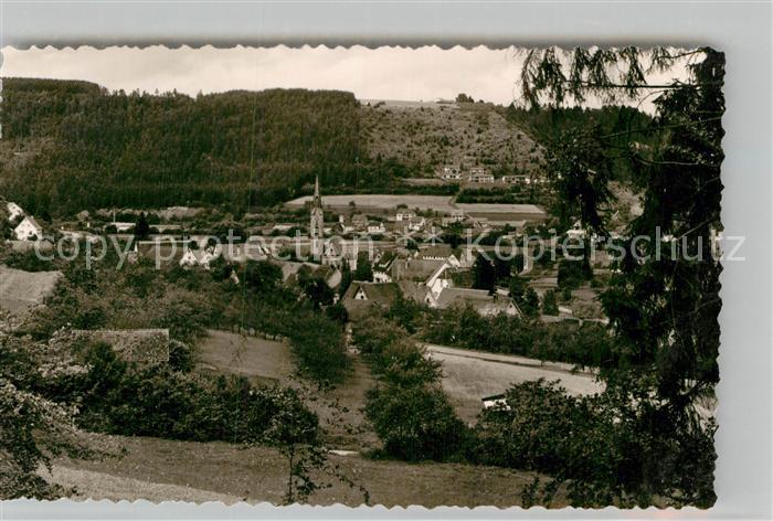 Oberndorf Neckar Panorama