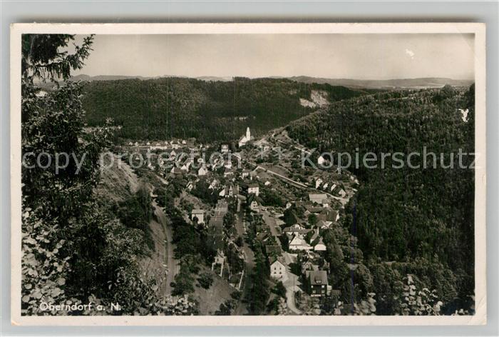 Oberndorf Neckar Panorama