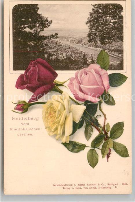 Heidelberg Neckar Blick vom Rindenhaeuschen