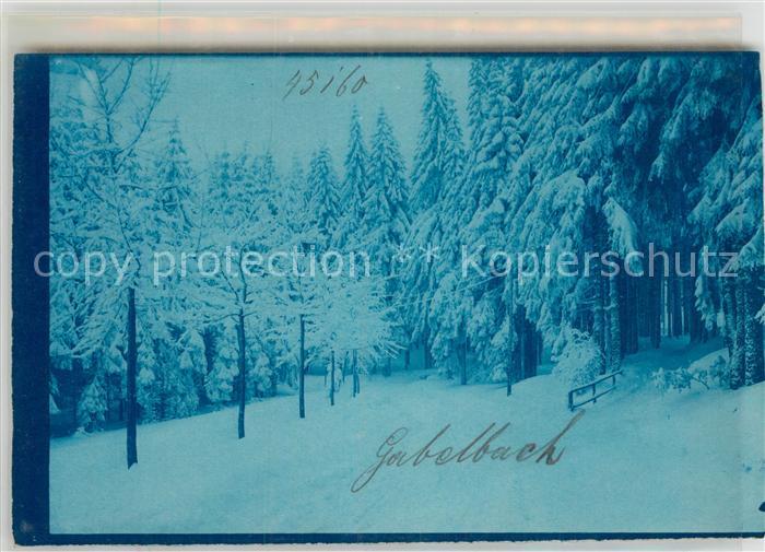 Gabelbach Zusmarshausen Waldansicht