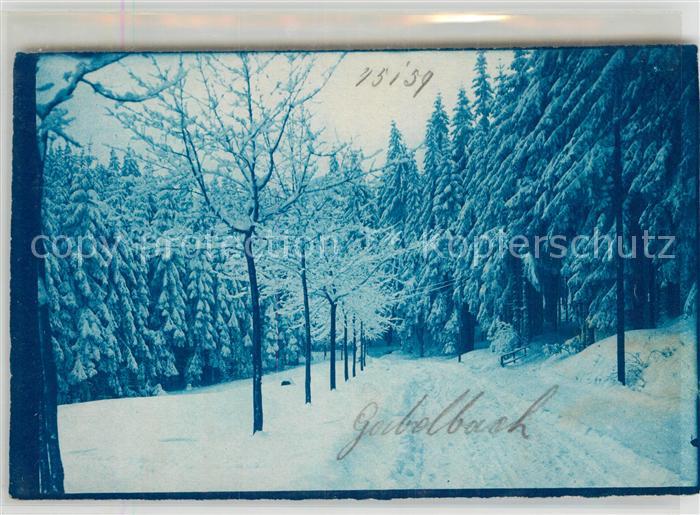 Gabelbach Zusmarshausen Waldpartie