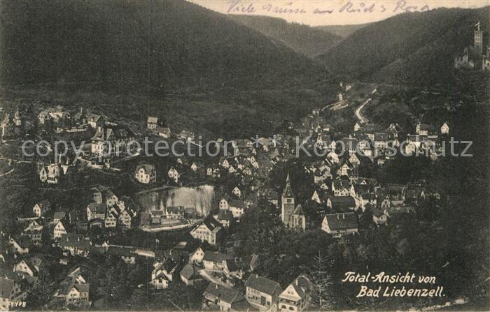 Bad Liebenzell Totalansicht