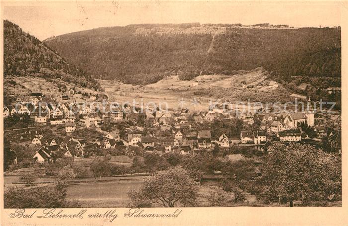 Bad Liebenzell Teilansicht