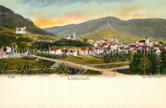 Bad Liebenzell Teilansicht
