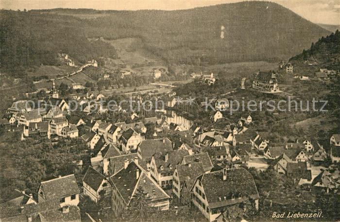 Bad Liebenzell Teilansicht