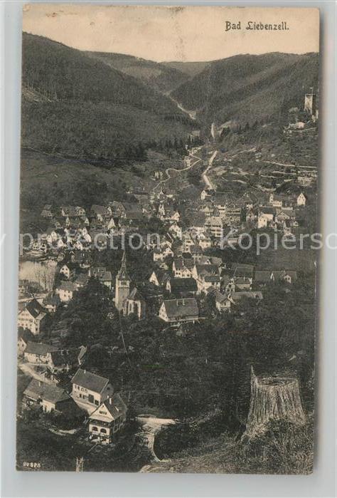 Bad Liebenzell Totalansicht
