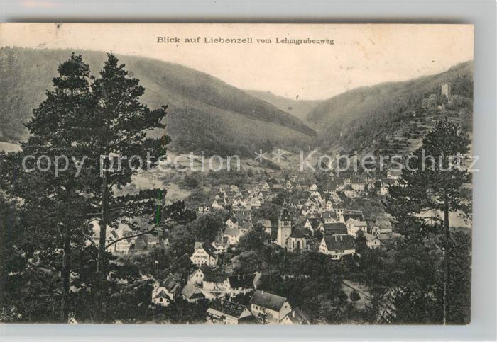 Bad Liebenzell Blick vom Lehmgrubenweg
