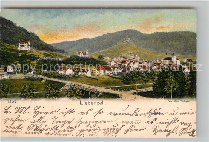 Bad Liebenzell Teilansicht