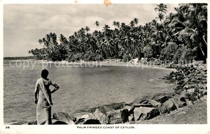 Ceylon Sri Lanka Palm Fringed Coast