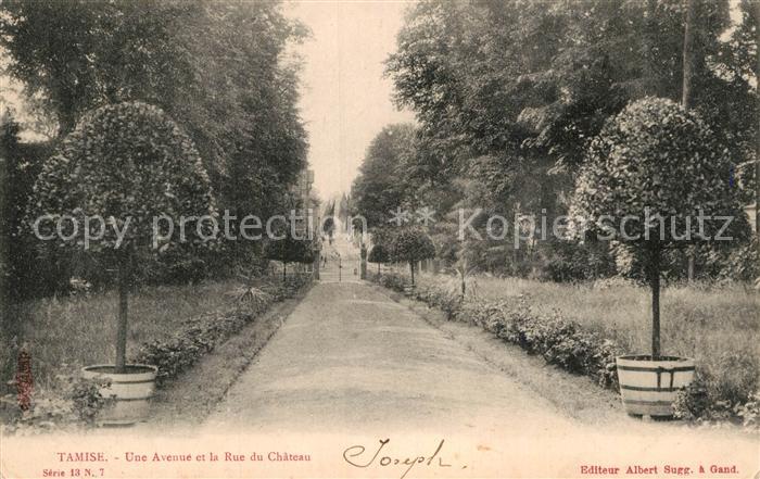 Tamise Avenue Rue du Chateau