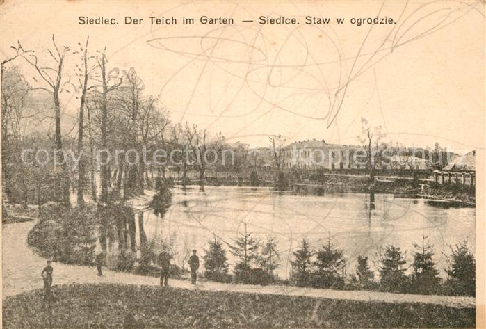 Siedlce Teich im Garten