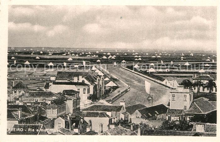 Aveiro Ria e marinhas