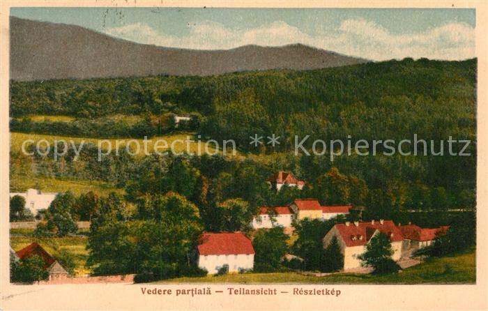 Bazna Vedere partiala