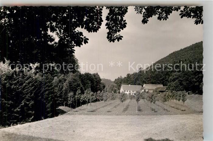 Bad Bergzabern Hotel