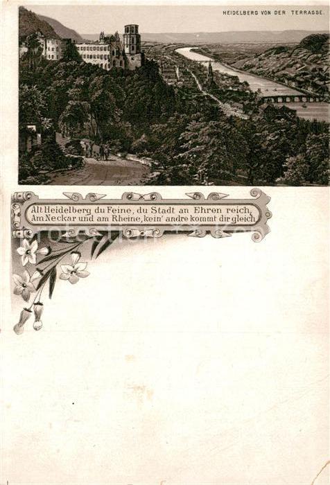 Alt Heidelberg Neckar Schloss Panorama