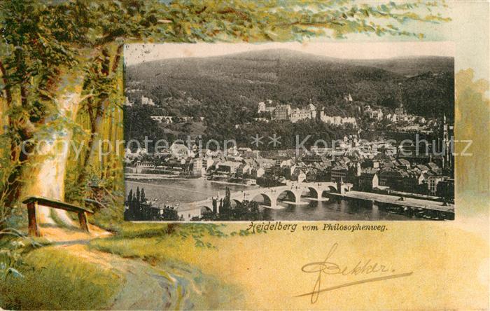 Heidelberg Neckar Panorama