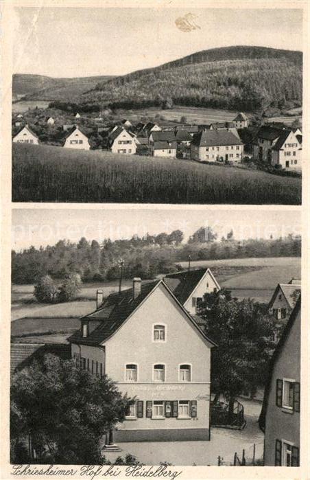 Schriesheim Gasthaus Pension Schriesheimer Hof
