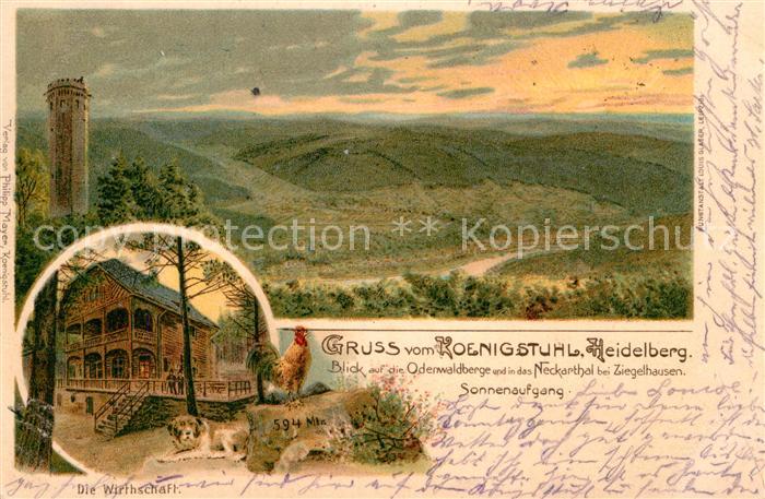 Heidelberg Neckar Koenigstuhl Wirtschaft