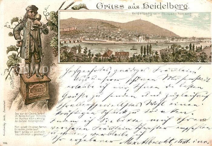 Heidelberg Neckar Panorama