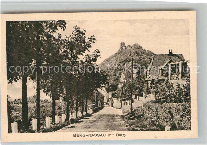 Bergnassau Burg Panorama