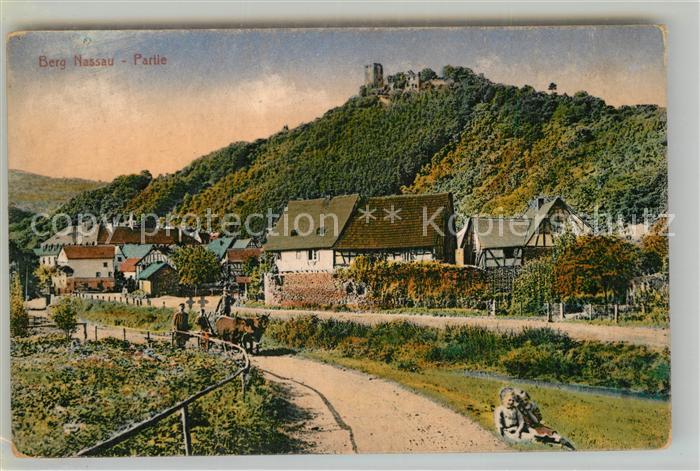 Nassau Lahn Burg Panorama