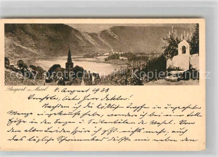 Piesport Denkmal Fritz von Wille Panorama